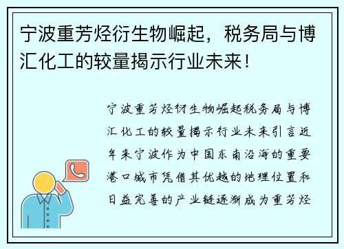 宁波重芳烃衍生物崛起，税务局与博汇化工的较量揭示行业未来！