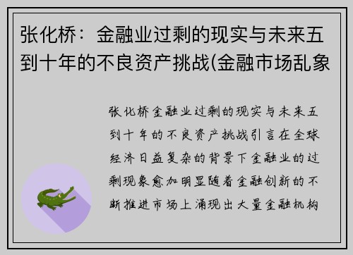 张化桥：金融业过剩的现实与未来五到十年的不良资产挑战(金融市场乱象 张化桥)