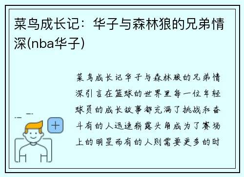 菜鸟成长记：华子与森林狼的兄弟情深(nba华子)