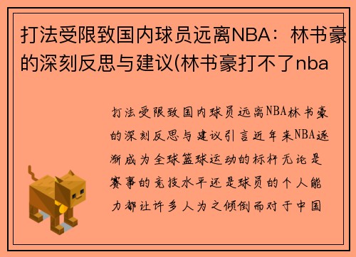 打法受限致国内球员远离NBA：林书豪的深刻反思与建议(林书豪打不了nba)