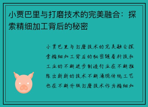 小贾巴里与打磨技术的完美融合：探索精细加工背后的秘密