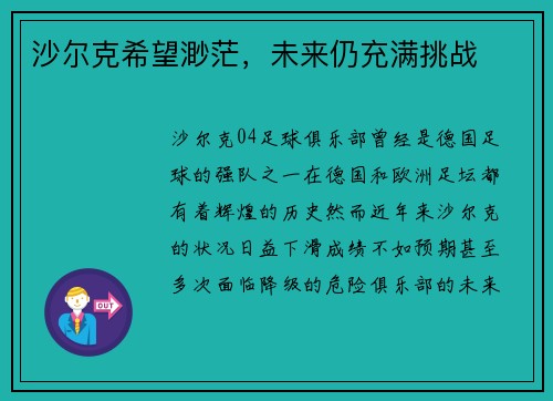 沙尔克希望渺茫，未来仍充满挑战